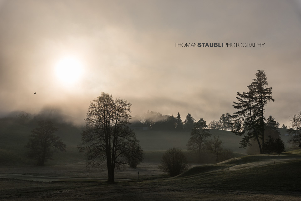 Mystische Stimmung auf dem Hirzel