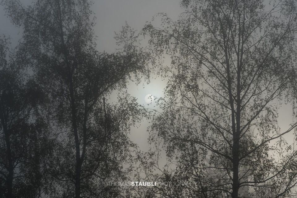 Sonne und Wolken im Wechsel