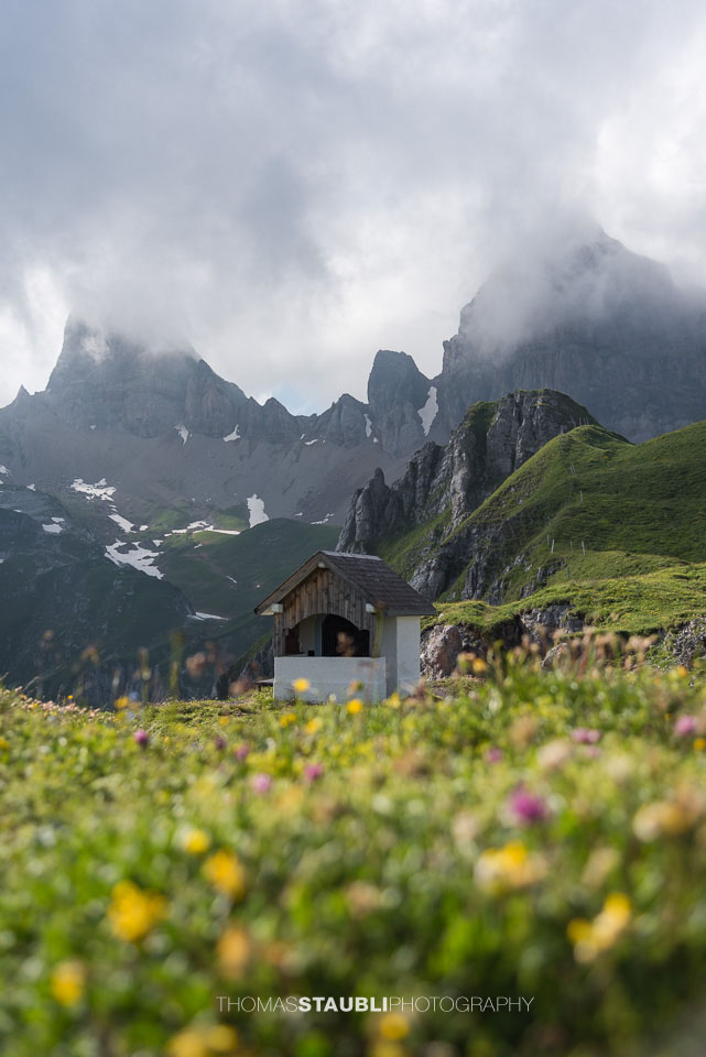 Bergfrühling auf dem Chinzig Chulm
