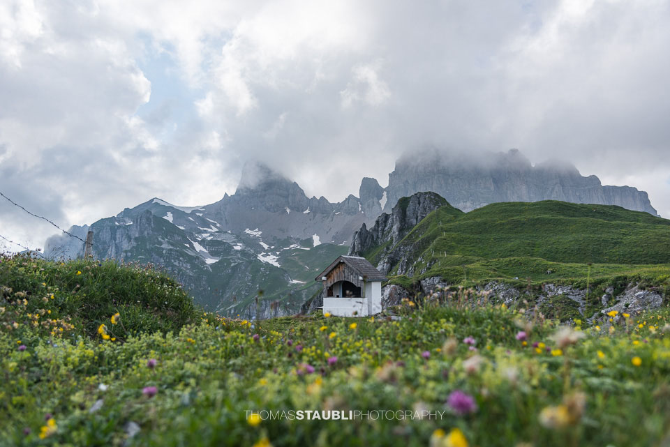 Bergfrühling auf dem Chinzig Chulm