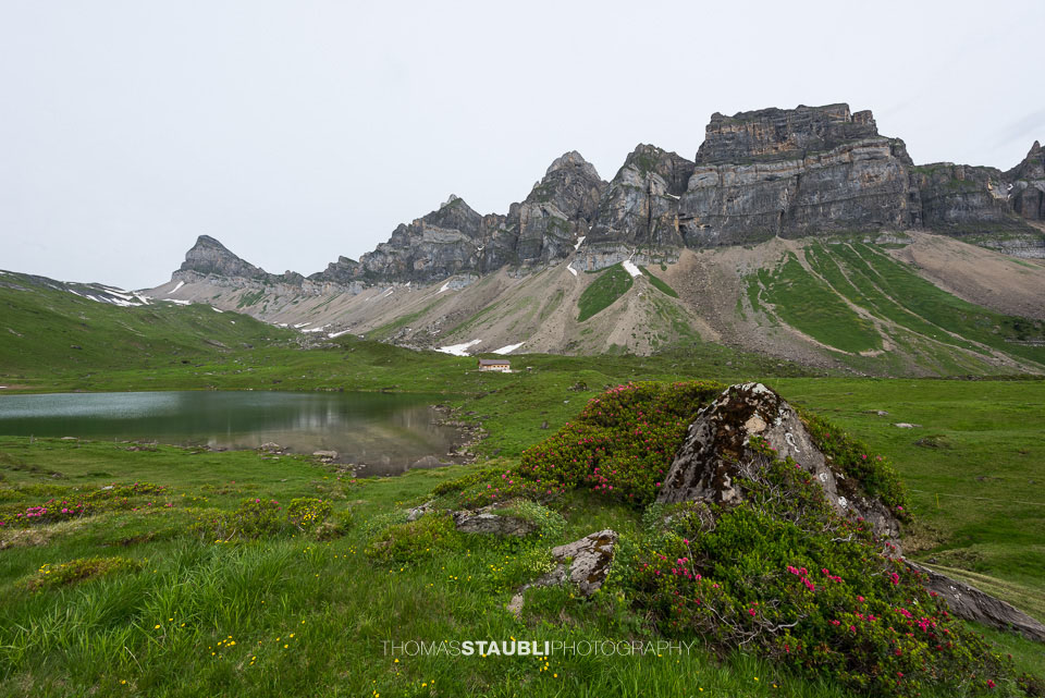 Fulen, Chaiserstock, Chronenstock und Blüemberg