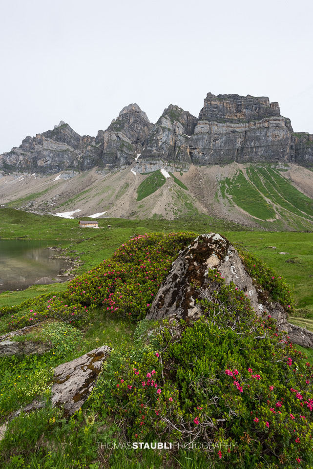 Chaiserstock, Chronenstock und Blüemberg
