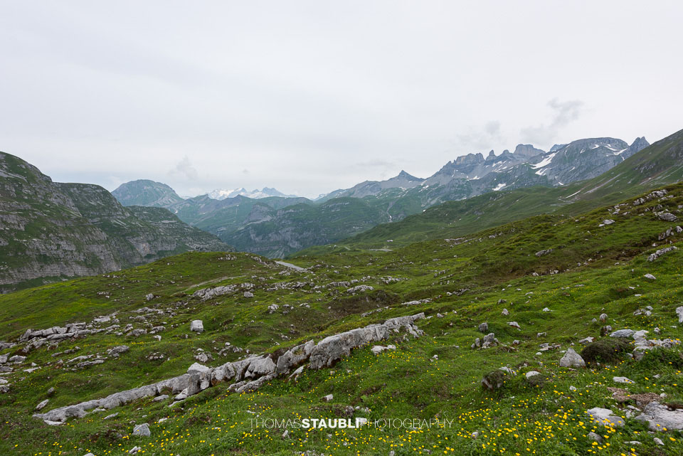 Blick zu den Schwyzer Alpen