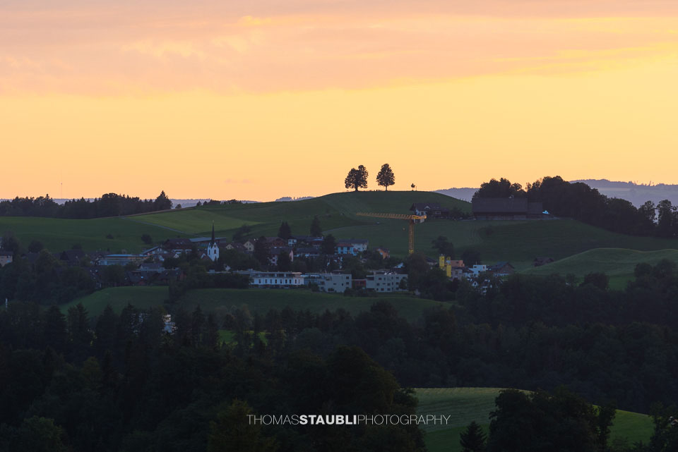 Blick zu den Lindenbäumen bei Neuheim
