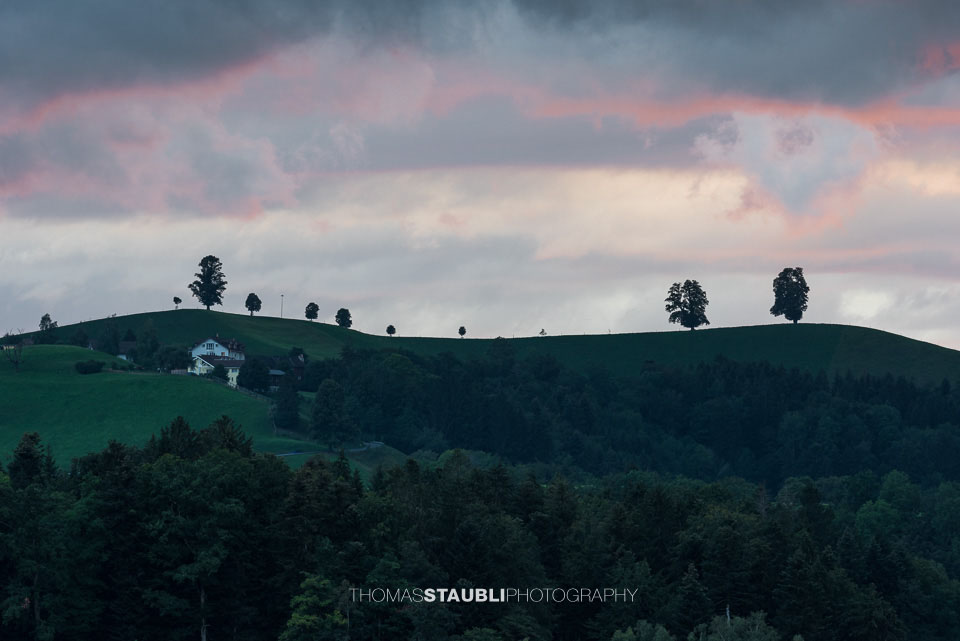 Linden auf den Hügeln von Menzingen