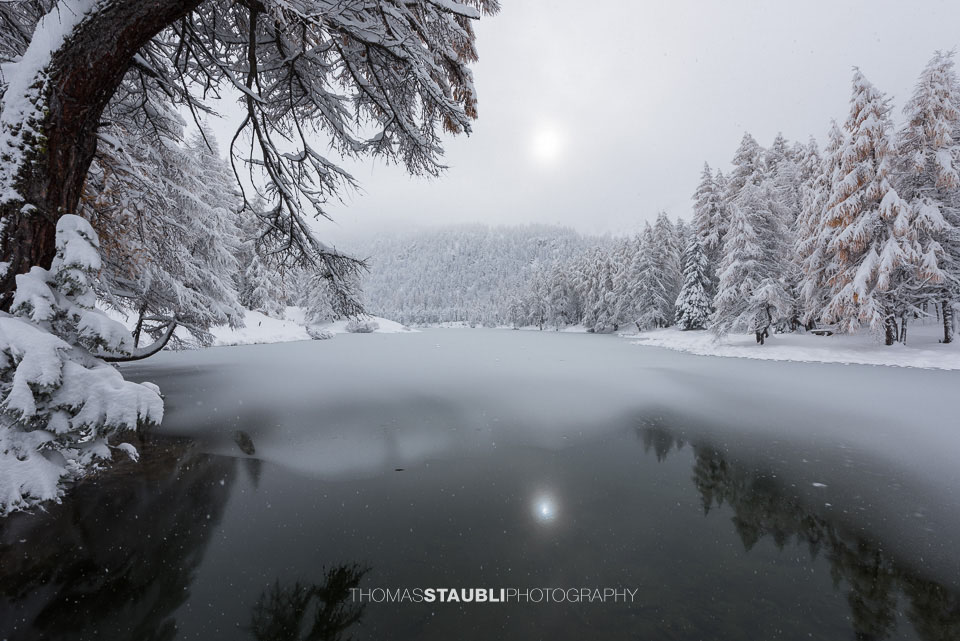 Frisch verschneite Landschaft am Lai da Palpuogna mit stiller Wasserfläche und schneebedeckten Nadelbäumen unter bewölktem Himmel.