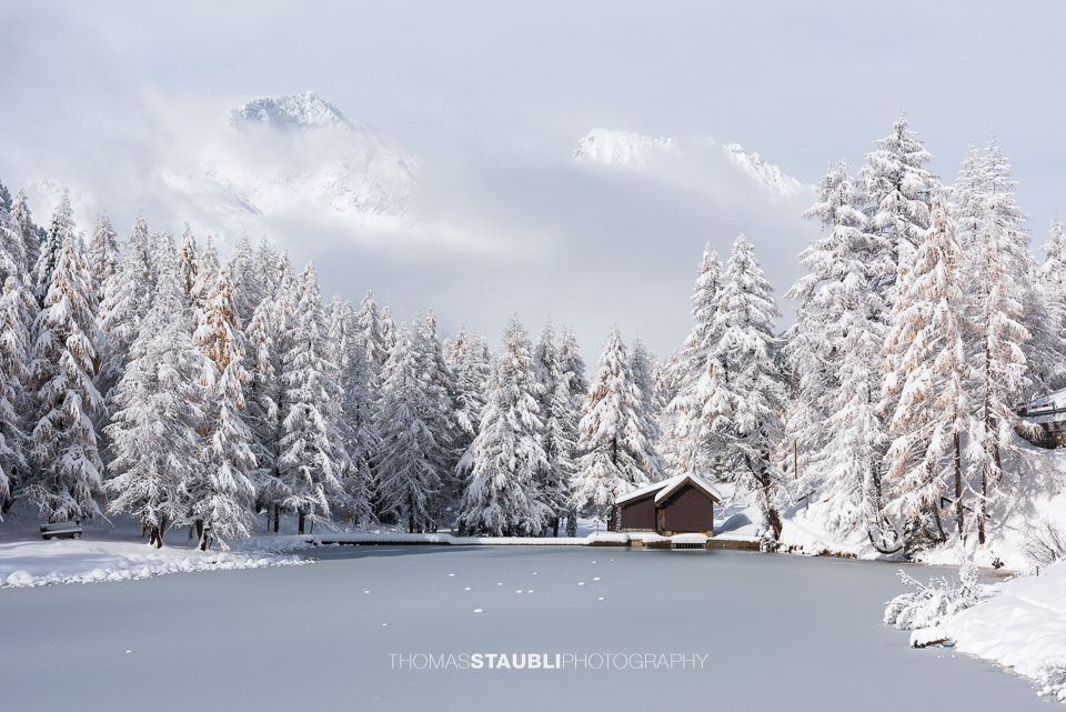 Blick auf den teilweise zugefrorenen Lai da Palpuogna mit schneebedeckten Lärchen und majestätischen Bergen im Hintergrund.