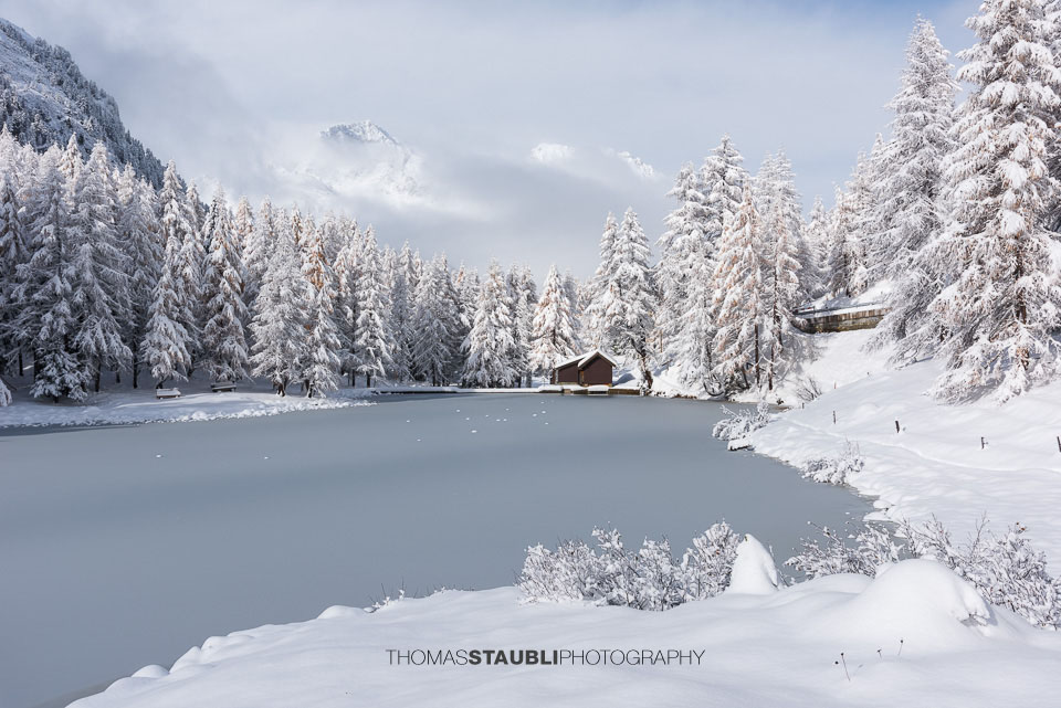 Blick auf den teilweise zugefrorenen Lai da Palpuogna mit schneebedeckten Lärchen und majestätischen Bergen im Hintergrund.