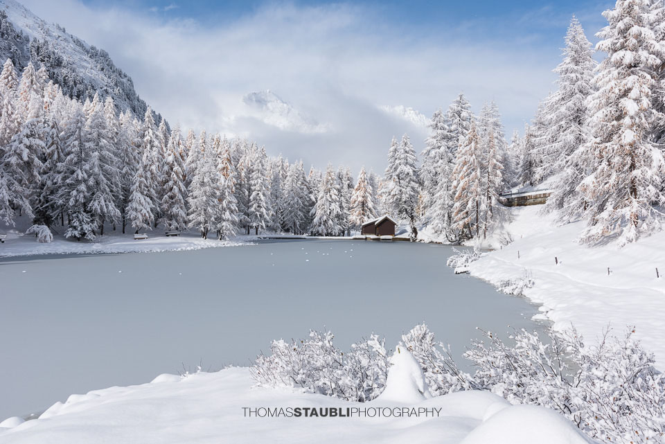 Blick auf den teilweise zugefrorenen Lai da Palpuogna mit schneebedeckten Lärchen und majestätischen Bergen im Hintergrund.