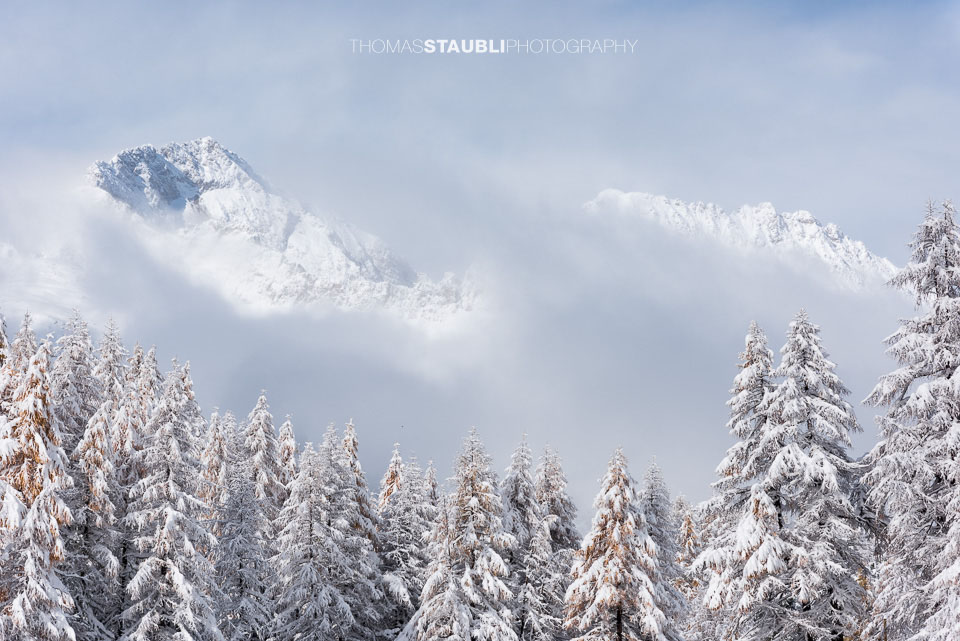 schneebedeckten Lärchen und majestätischen Bergen
