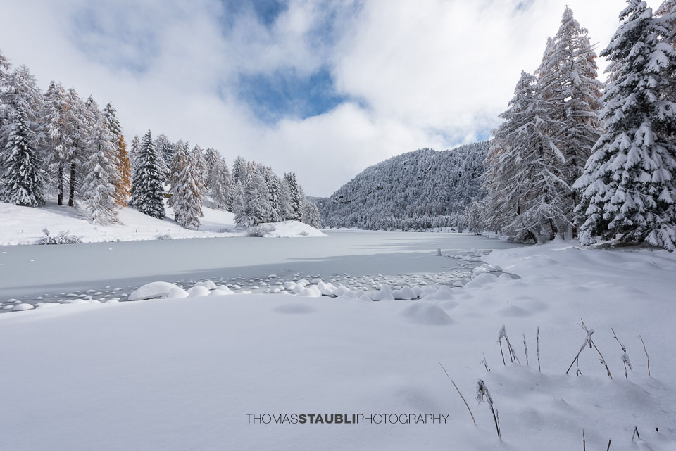 Der zugefrorene Lai da Palpuogna unter einer aufreissenden Wolkendecke, umgeben von schneebedeckten Lärchen und leuchtend orangefarbenem Herbstlaub.
