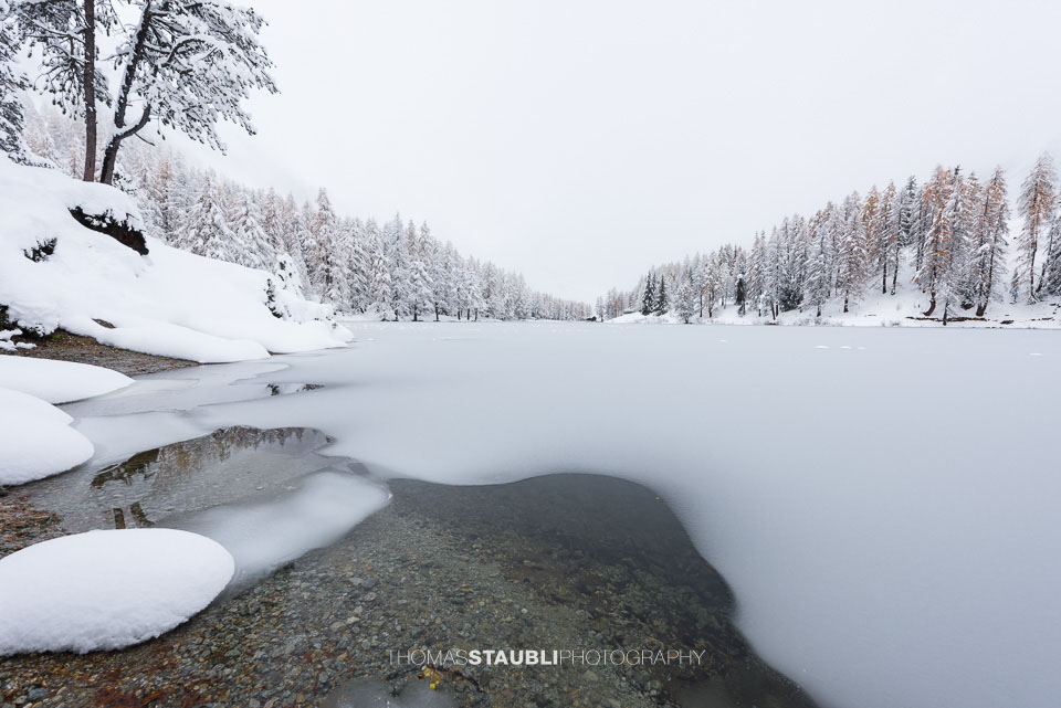 Winterzauber am Lai da Palpuogna