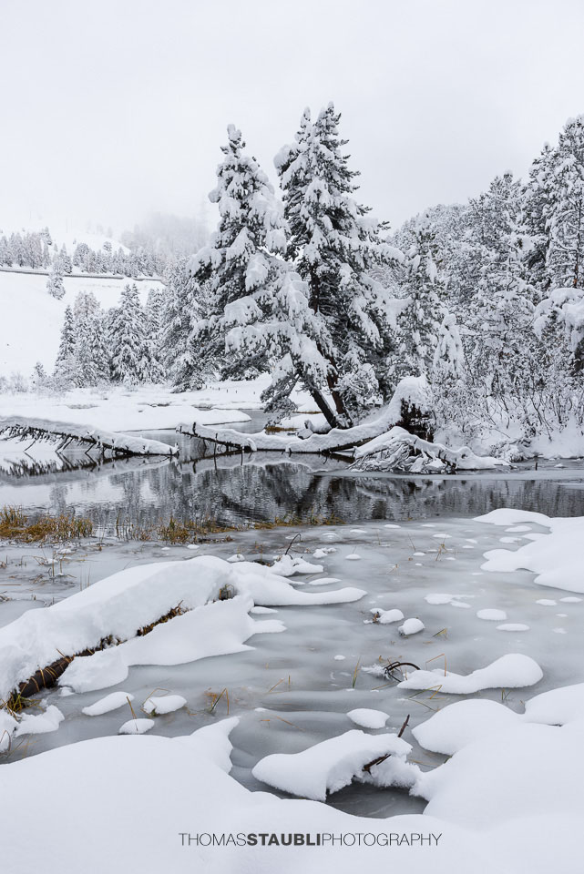 Umgestürzte Bäume am gefrorenen Bachlauf inmitten tief verschneiter Winterlandschaft im Albulatal.
