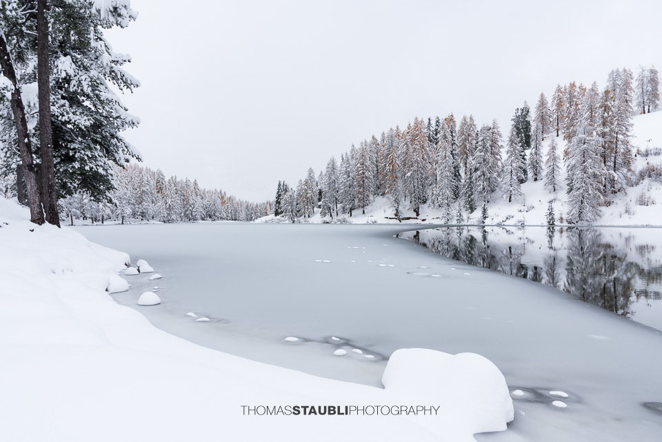 Winterzauber am Lai da Palpuogna