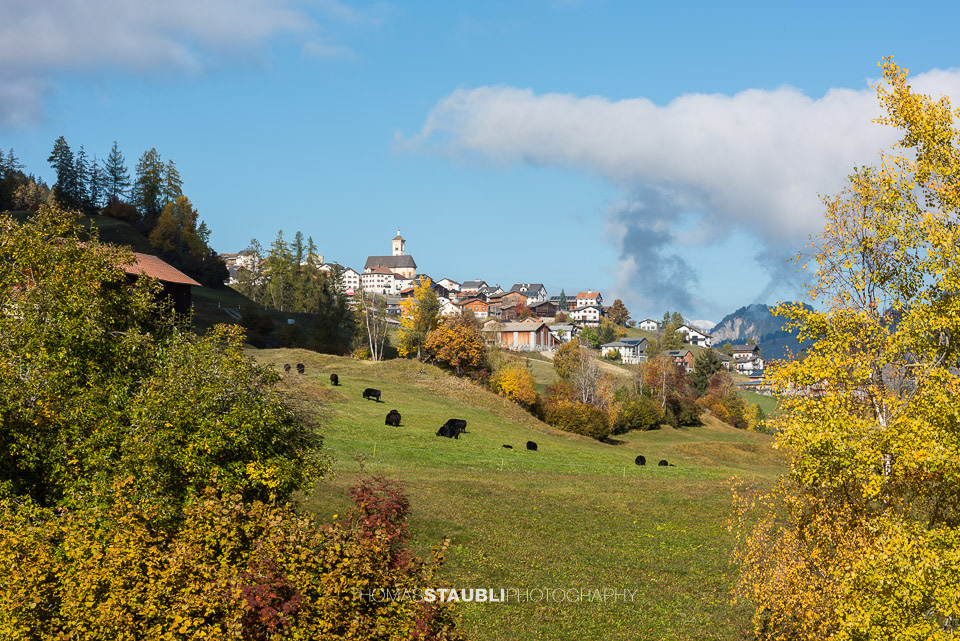 Goldener Herbst in Stierva