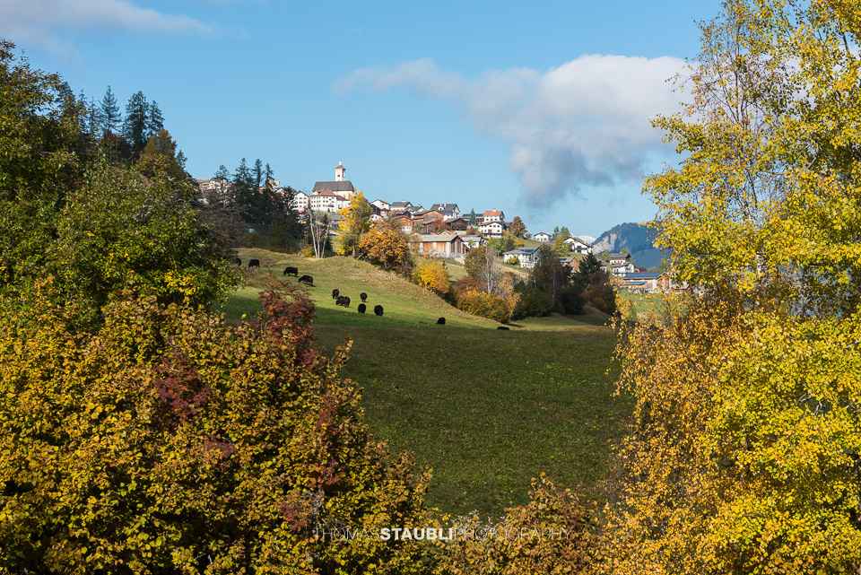 Goldener Herbst in Stierva