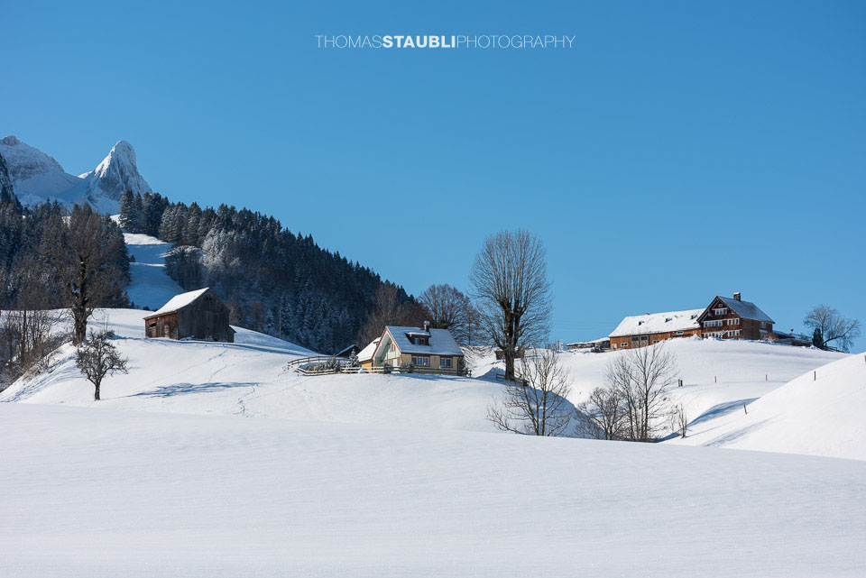 links im Hintergrund der Öhrlichopf