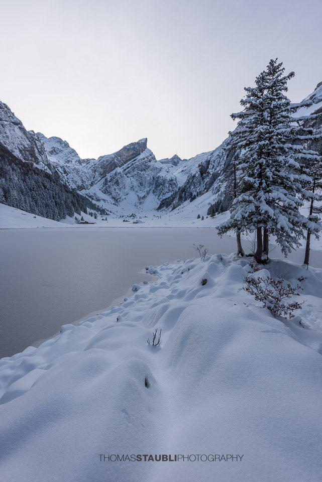 Winterruhe am Seealpsee im Alpstein