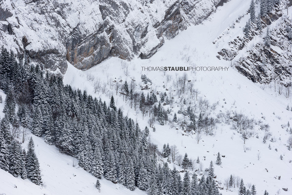 Winterimpressionen im Alpstein