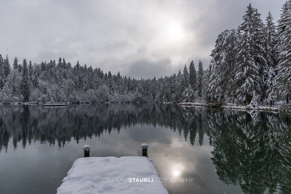 verschneite Bäme am Crestasee