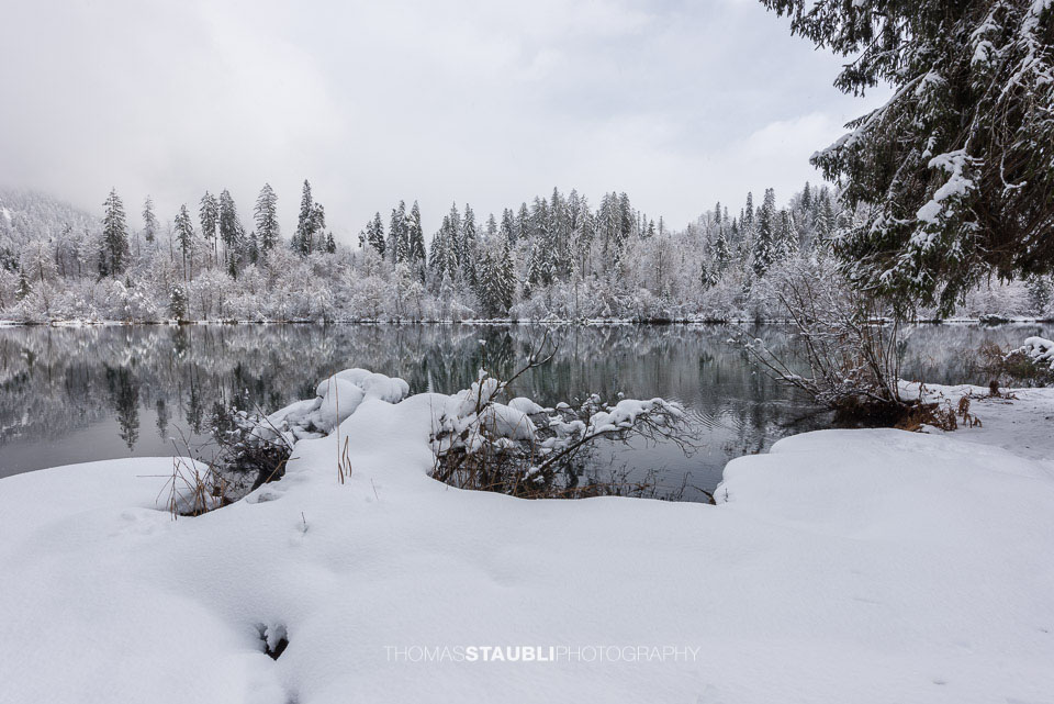 verschneite Bäme am Crestasee