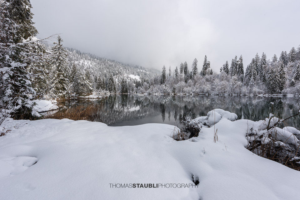 verschneite Bäme am Crestasee