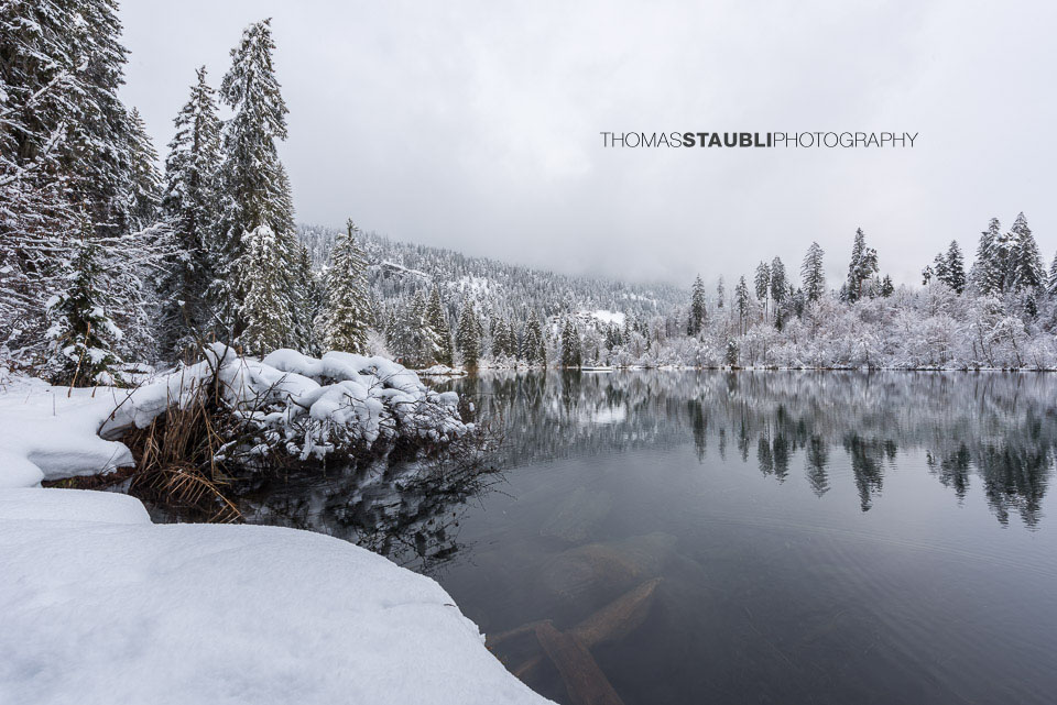 verschneite Bäme am Crestasee