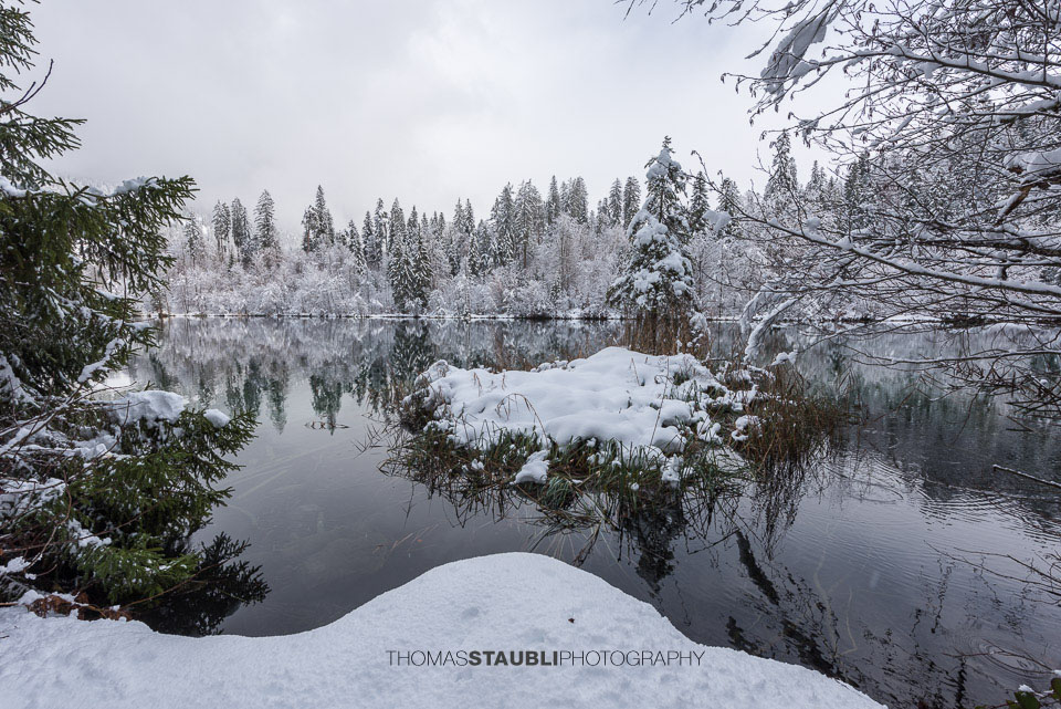 verschneite Bäme am Crestasee
