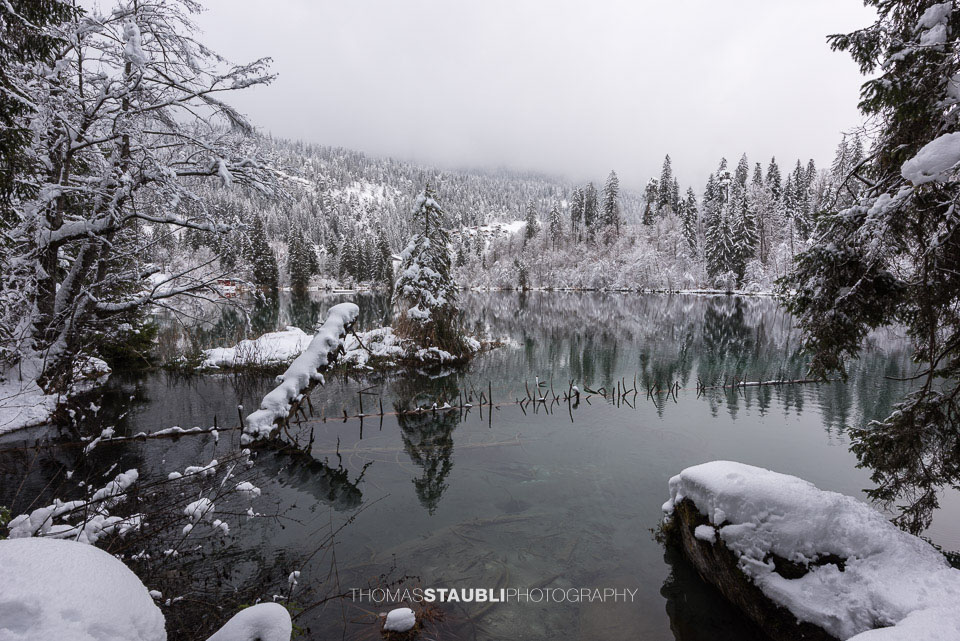 verschneite Bäme am Crestasee