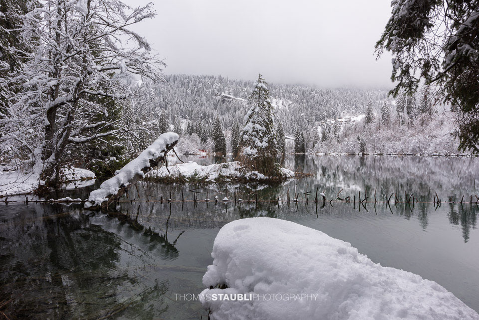 verschneite Bäme am Crestasee