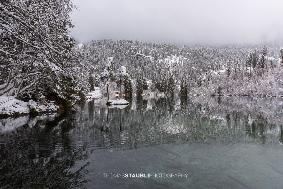 verschneite Bäme am Crestasee