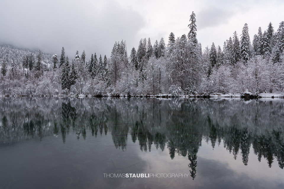 verschneite Bäme am Crestasee