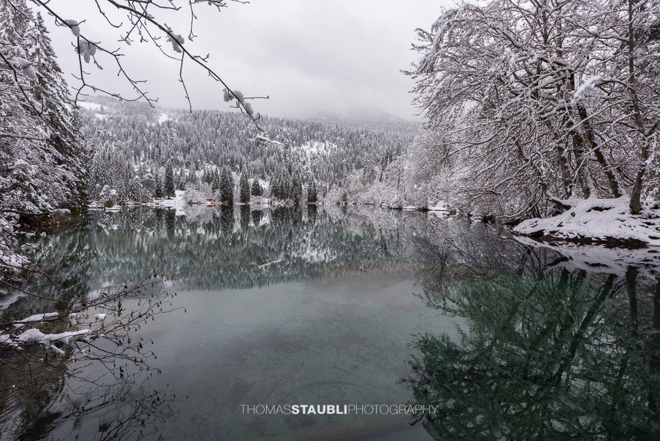 verschneite Bäme am Crestasee