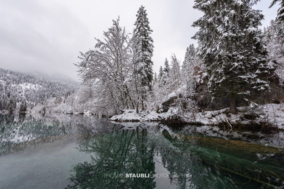 verschneite Bäme am Crestasee