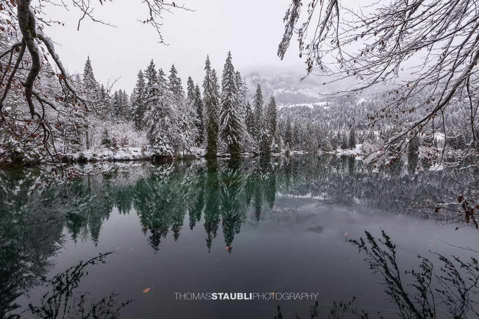 verschneite Bäme am Crestasee