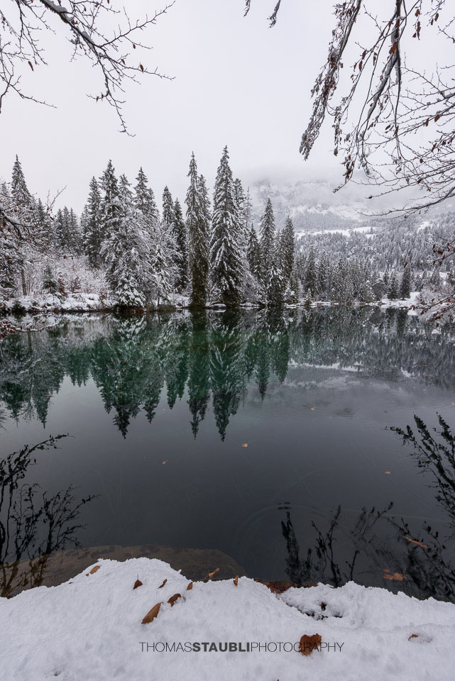 verschneite Bäme am Crestasee