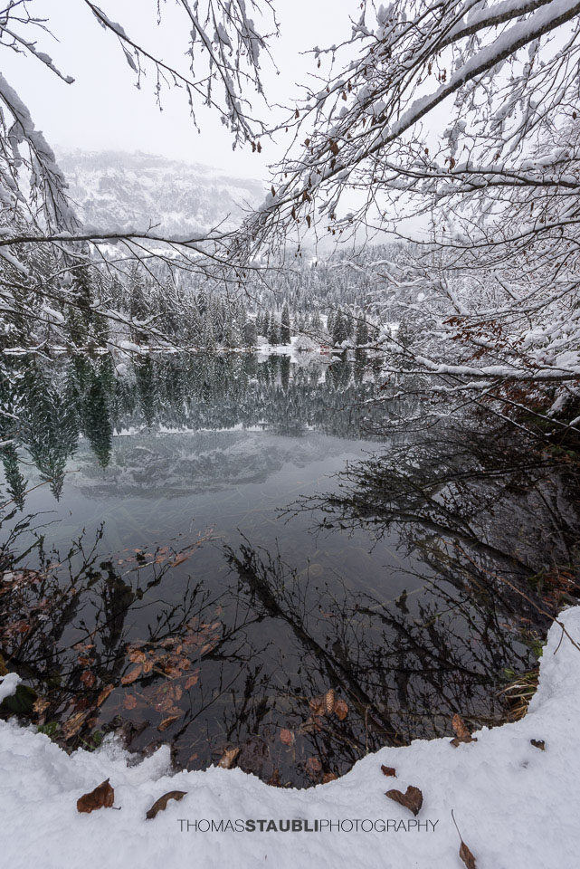 verschneite Bäme am Crestasee