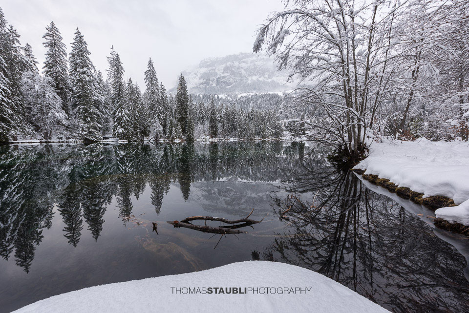 verschneite Bäme am Crestasee
