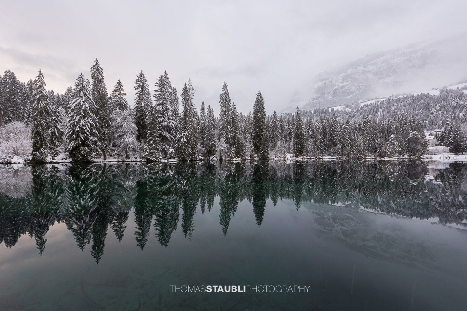 verschneite Bäme am Crestasee