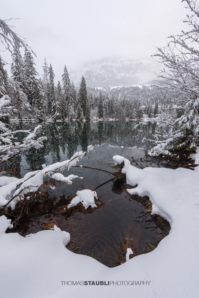 verschneite Bäme am Crestasee