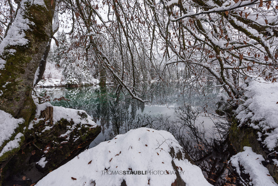 verschneite Bäme am Crestasee