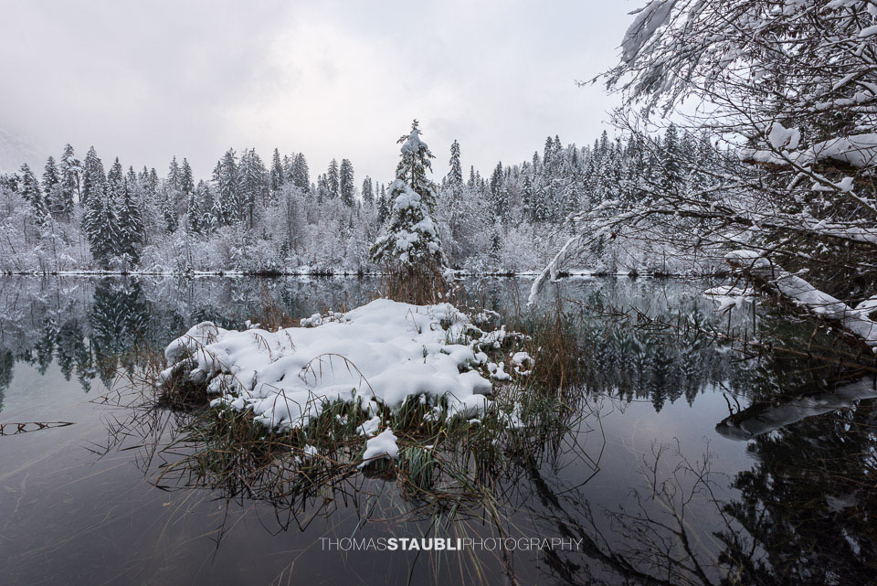 verschneite Bäme am Crestasee
