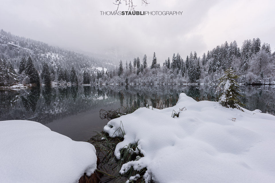 verschneite Bäme am Crestasee