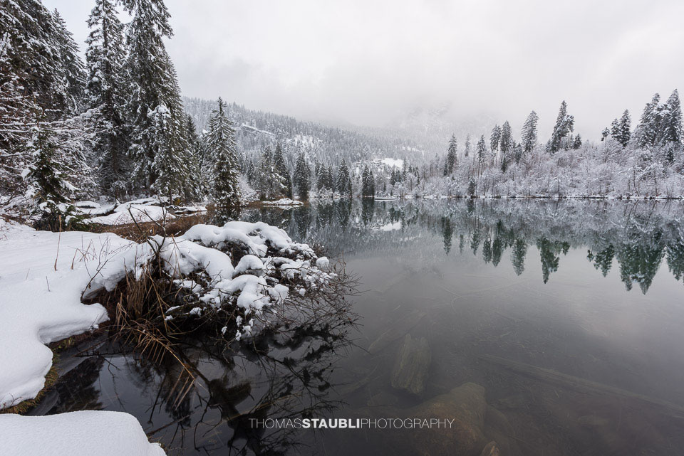 verschneite Bäme am Crestasee