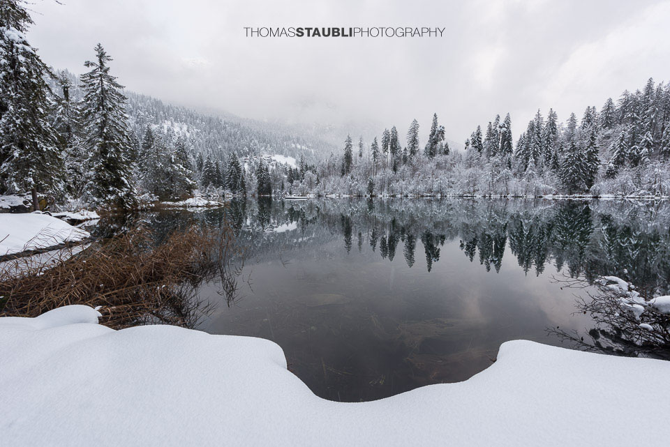 verschneite Bäme am Crestasee