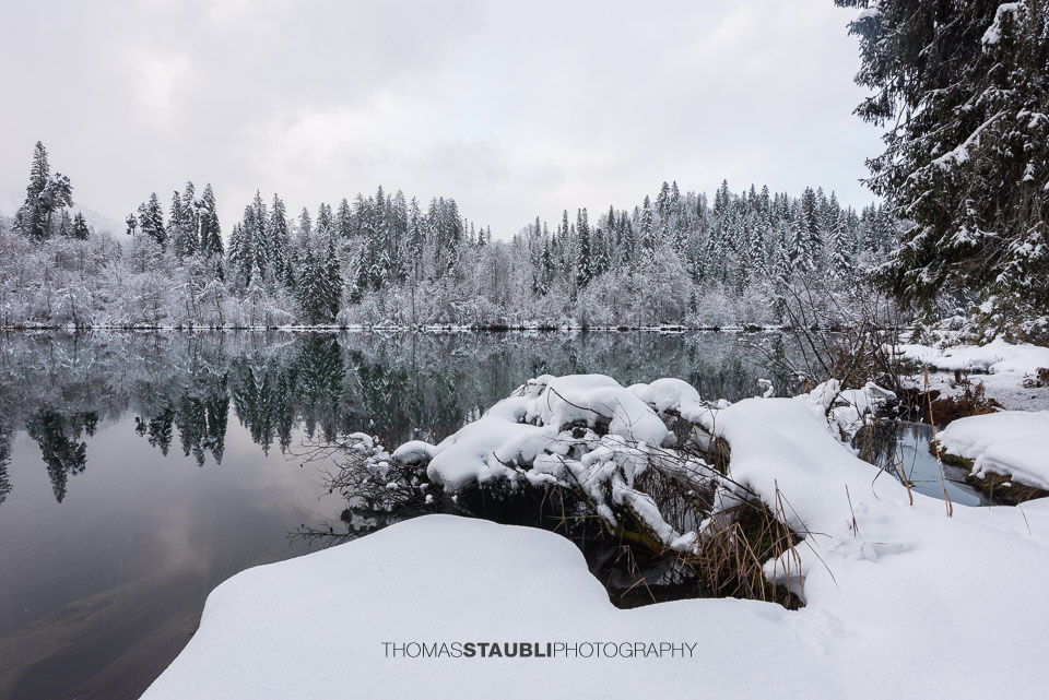 verschneite Bäme am Crestasee