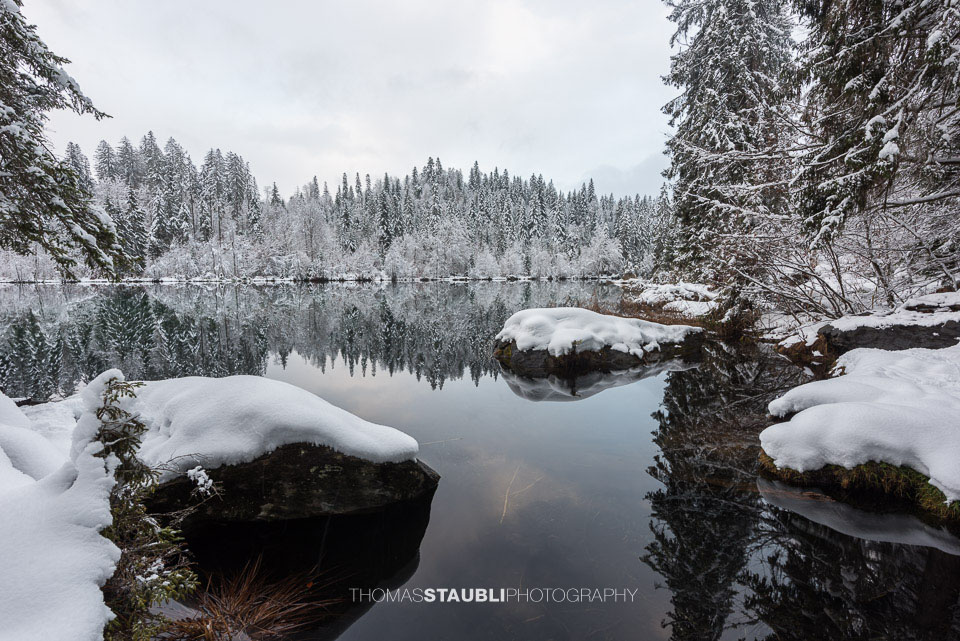 verschneite Bäme am Crestasee