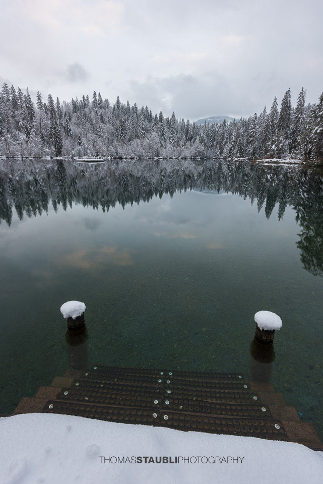 verschneite Bäme am Crestasee