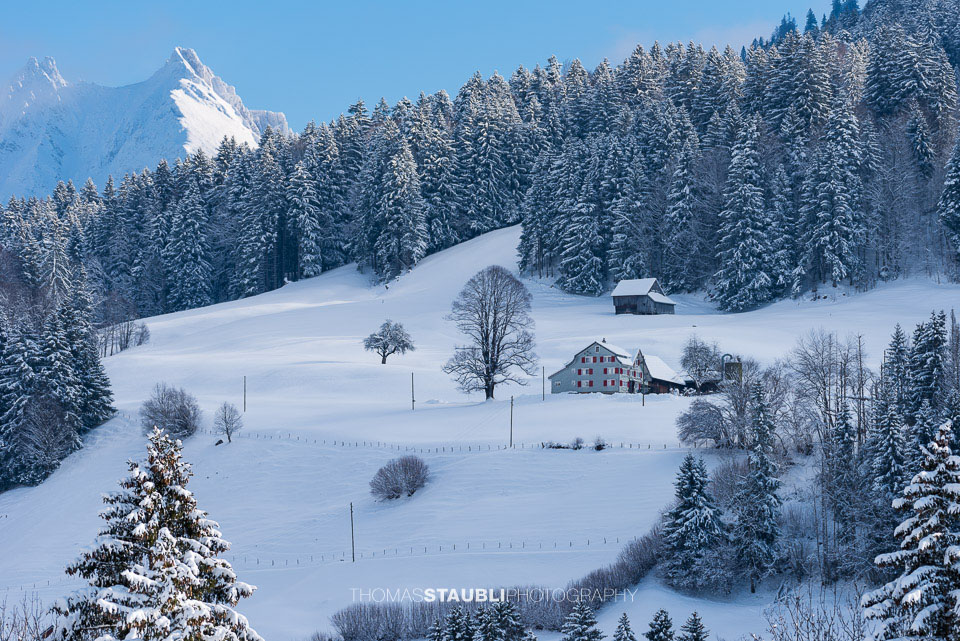 verschneites Toggenburg