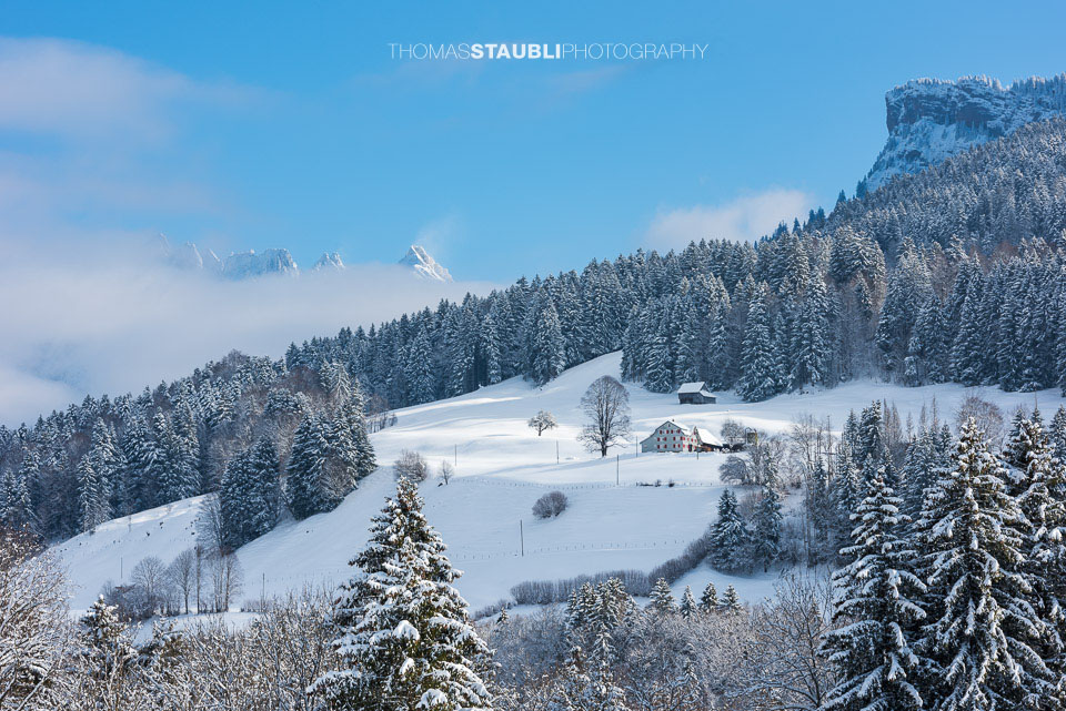 verschneites Toggenburg